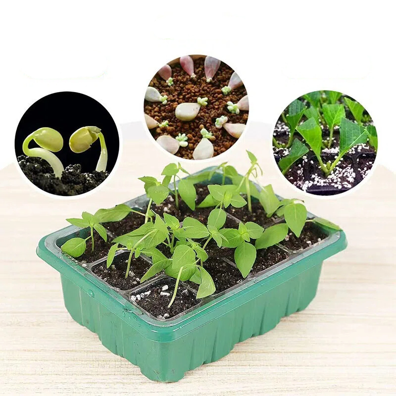 Dome Propagation Kit - 5 Buah Set Perlengkapan Penyemaian dengan