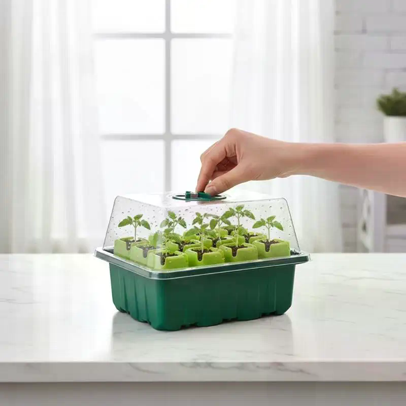 Dome Propagation Kit - 1Set Baki Penyemai Benih Mini Greenhouse