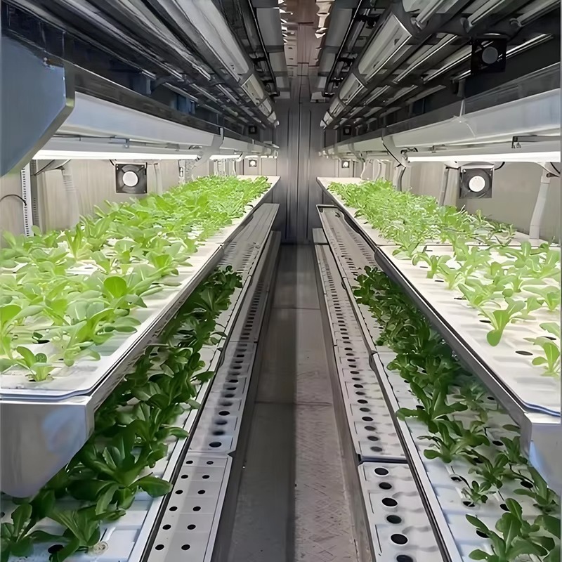 Sistem Pertanian Vertikal Kont - Urban Farming Vertical ulasan dan harga