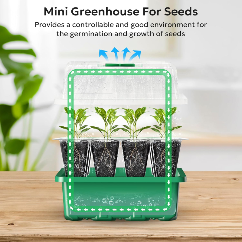 10 buah Kit pemula benih nampa - Dome Propagation Kit ulasan dan harga