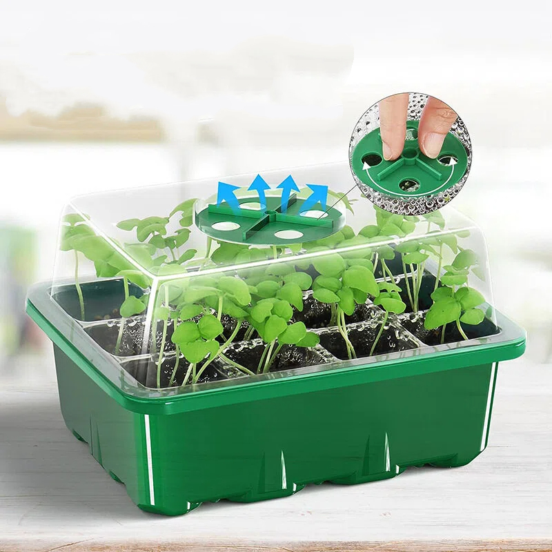 5 Buah Set Perlengkapan Penyem - Dome Propagation Kit ulasan dan harga
