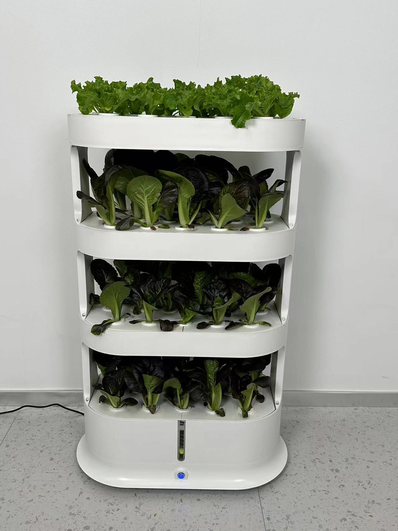 Peternakan Urban dengan Produk - Urban Farming Vegetables ulasan dan harga