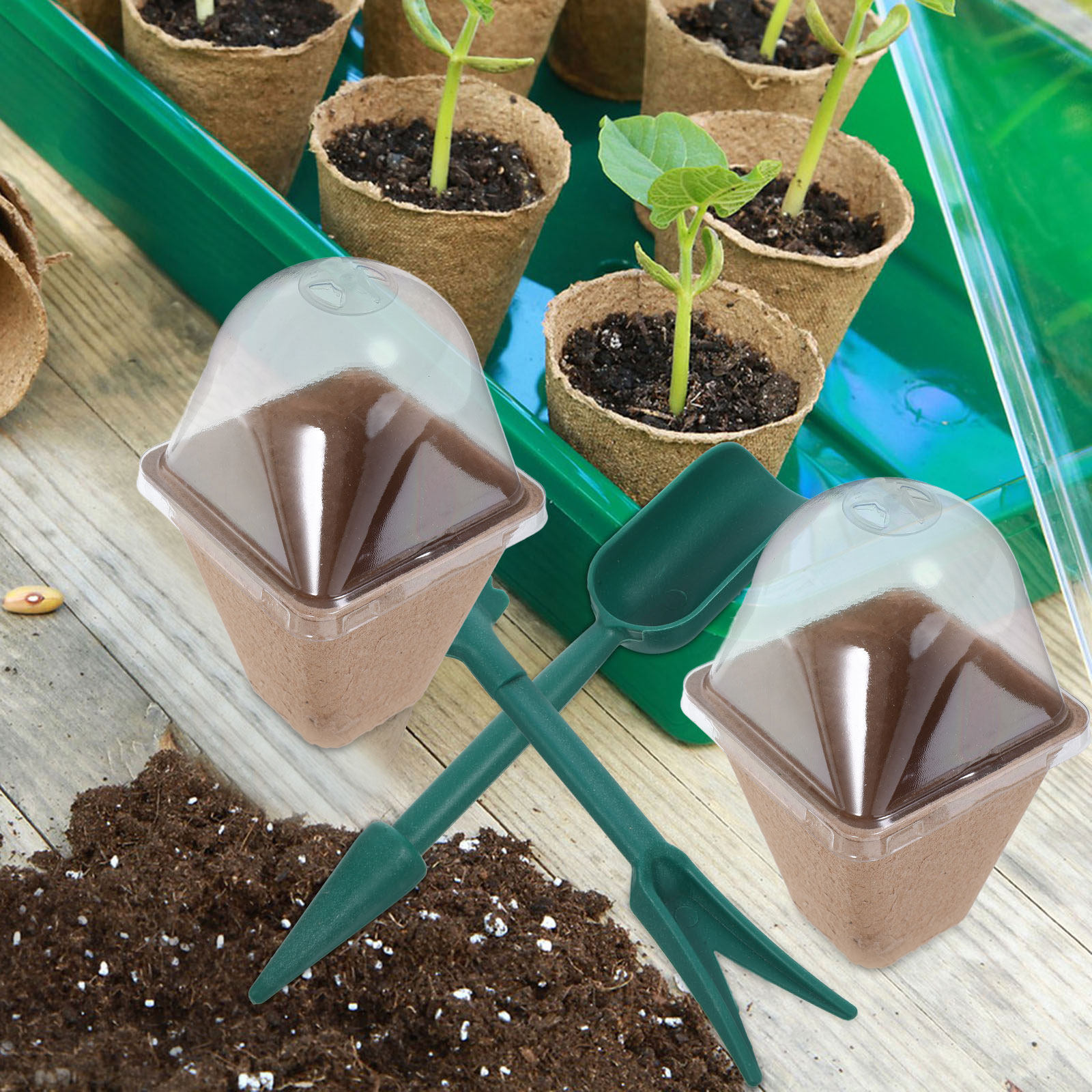 10Pcs Kit Pot Pembibitan Berke - Dome Propagation Kit ulasan dan harga