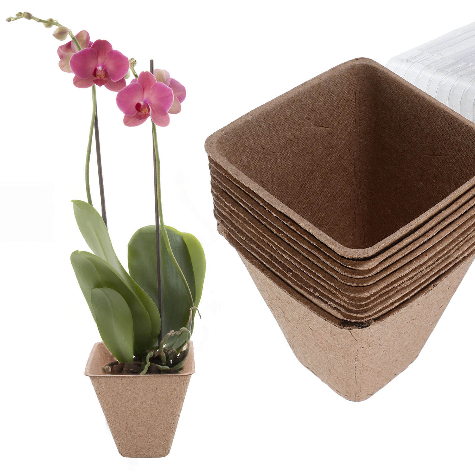 10Pcs Kit Pot Pembibitan Berke - Dome Propagation Kit ulasan dan harga