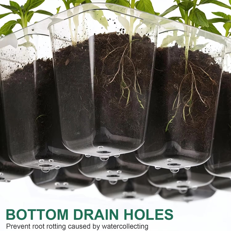 Baki Semai Benih Mini Greenhou - Dome Propagation Kit ulasan dan harga