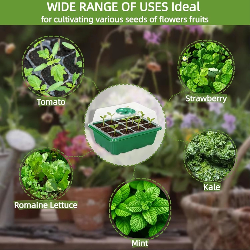 Baki Semai Benih Mini Greenhou - Dome Propagation Kit ulasan dan harga